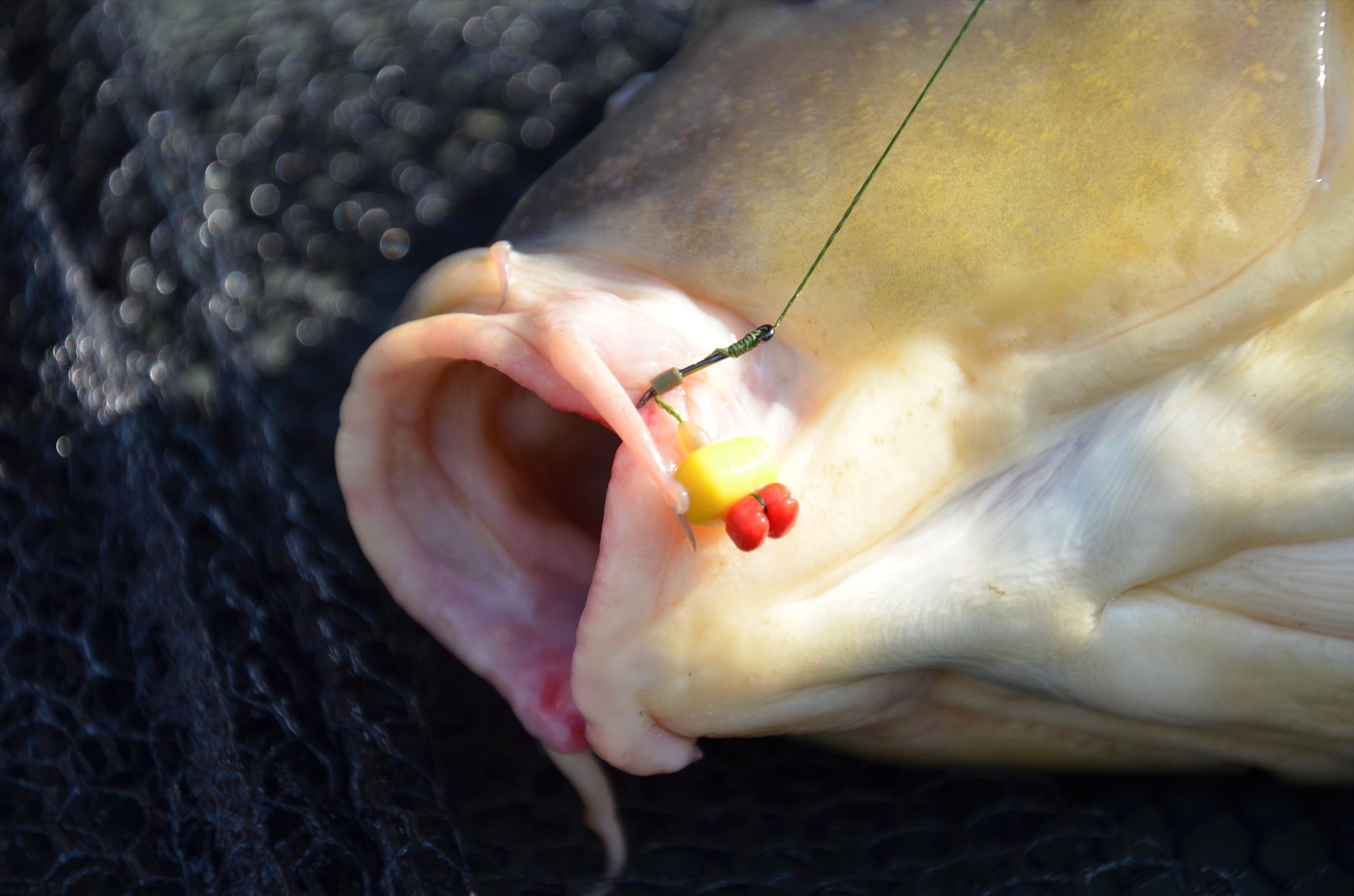 Cata nada iti trebuie la o partida scurta?